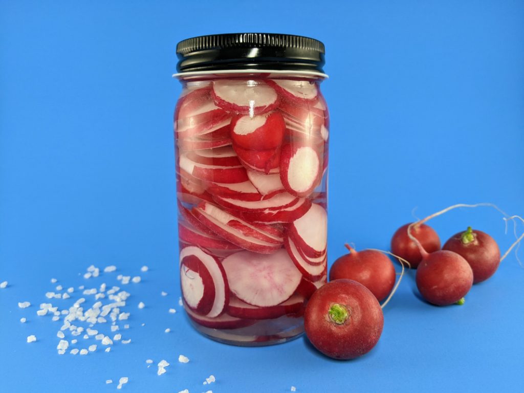 kiszona rzodkiewka na początku procesu fermentacji